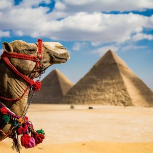 Half Day Giza pyramids Sphinx with 1 Hour Camel ride